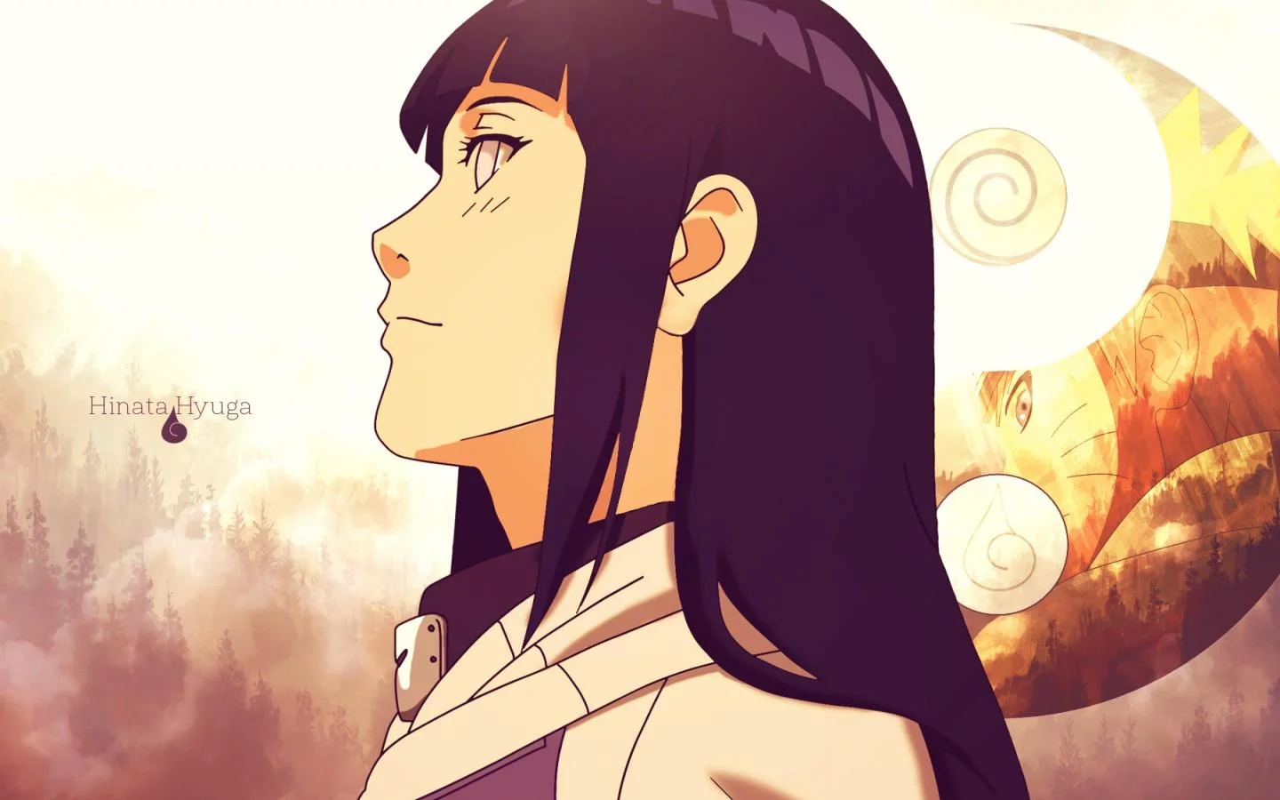 Free Download Wallpaper Hd Naruto Hinata Page 1795693 (1440 x 900)