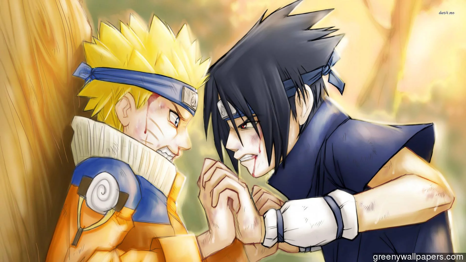 Free Download Naruto Dan Sasuke Wallpaper Hd Page 1908 (1920 x 1080)