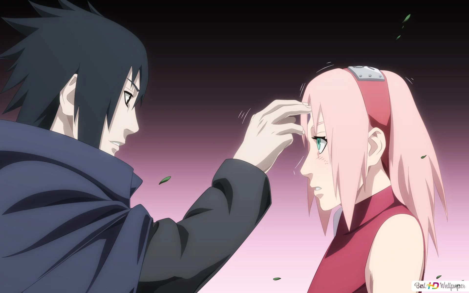 Free Download Wallpaper Naruto Dan Sakura Page 2006639 (1920 x 1200)
