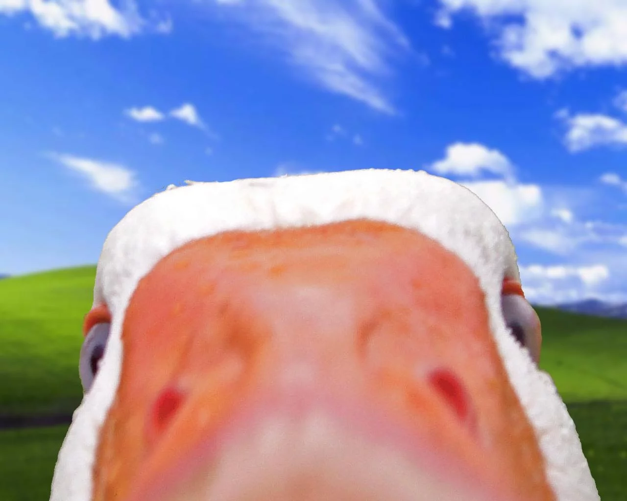 Free Download Wallpaper Naruto Windows Xp Page 2066947 (1280 x 1024)