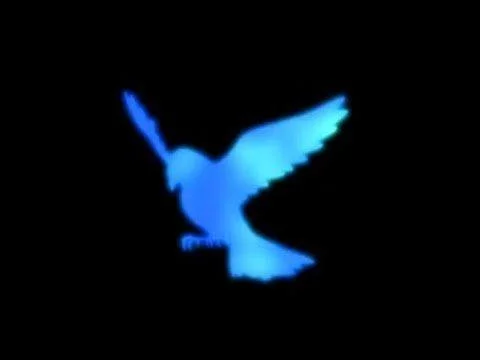 Free Download Blue Bird Wallpaper Naruto Page 21535 (480 x 360)