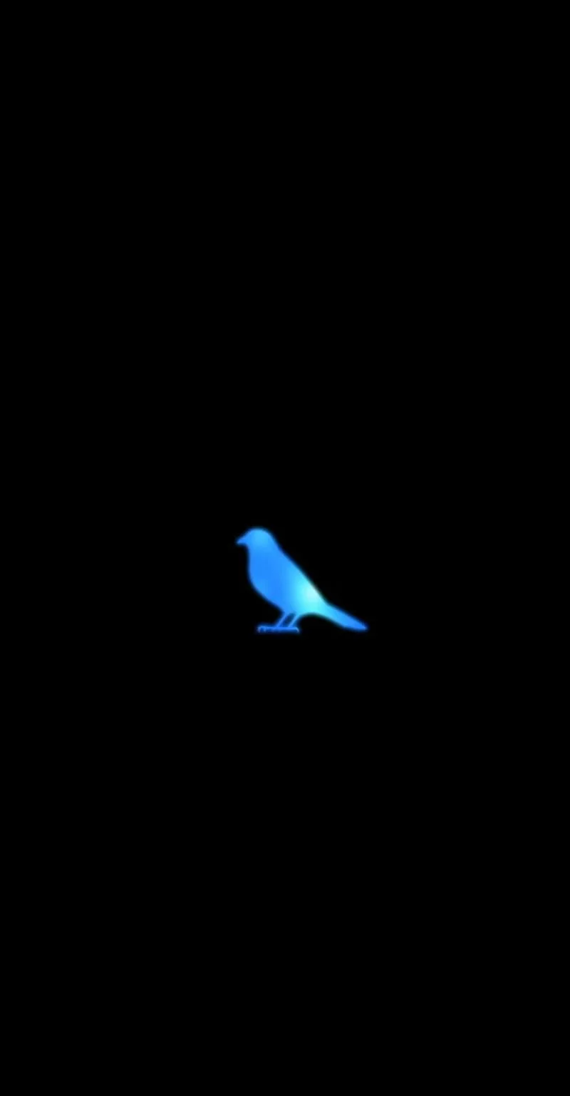Free Download Naruto Blue Bird Wallpaper Page 21538 (800 x 1538)