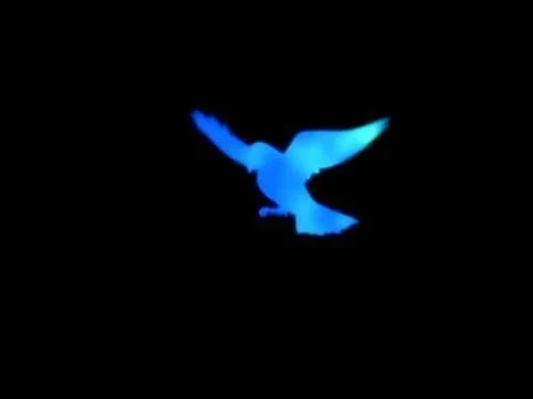 Free Download Naruto Blue Bird Wallpaper Page 21542 (480 x 360)