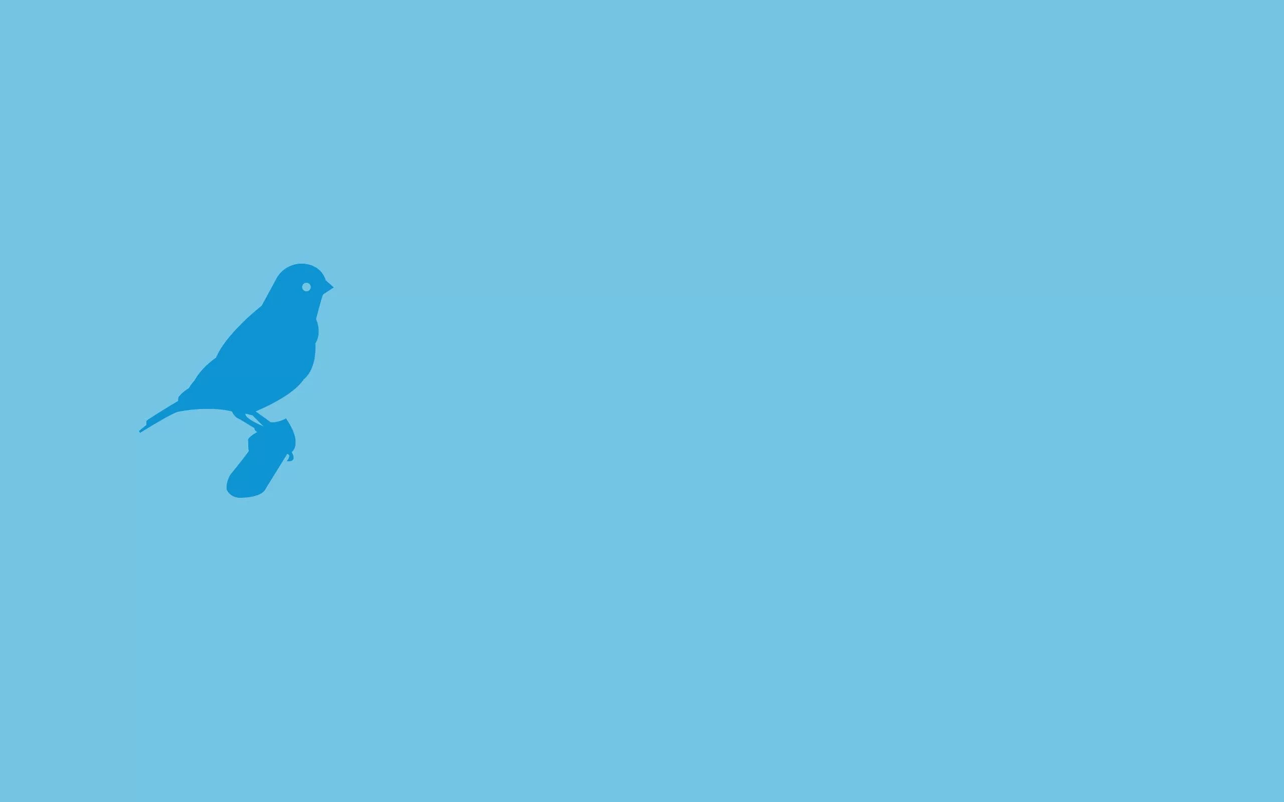 Free Download Naruto Blue Bird Wallpaper Page 21547 (2560 x 1600)