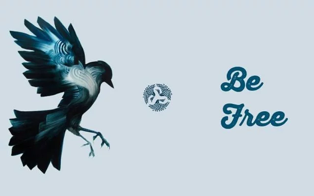 Free Download Naruto Blue Bird Wallpaper Page 21566 (640 x 400)