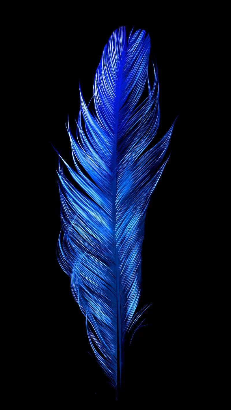Free Download Blue Bird Wallpaper Naruto Page 21593 (800 x 1422)