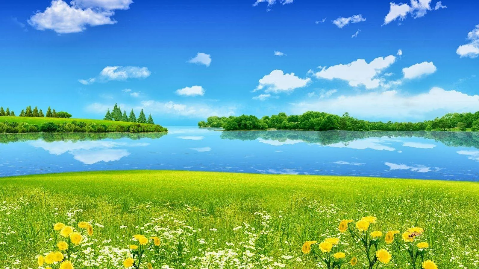 Free Download Download Wallpaper Page 220751 (1600 x 900)