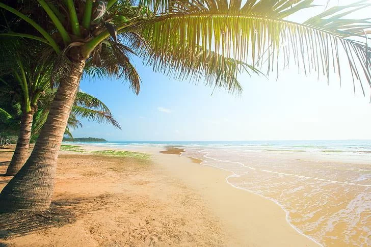 Free Download Download Wallpaper Page 220790 (728 x 485)