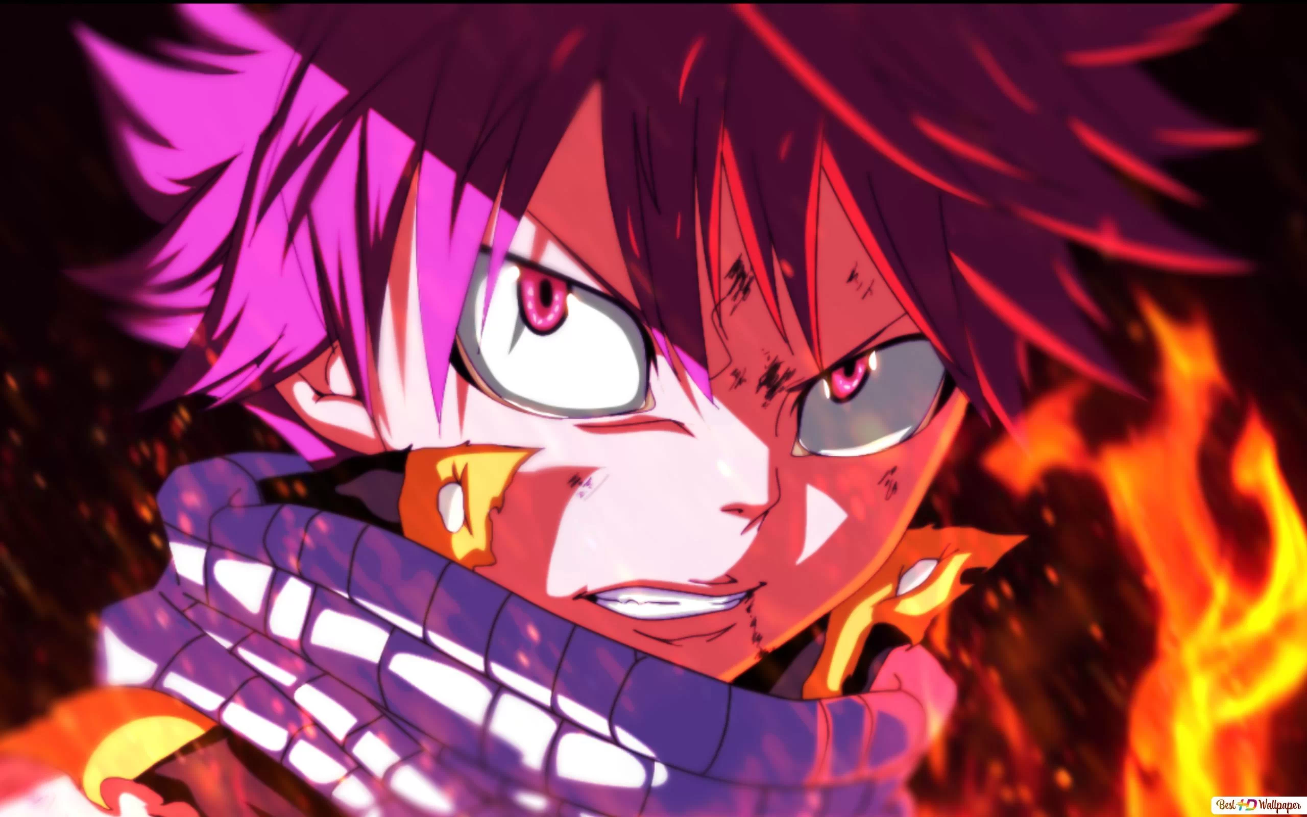 Free Download Naruto Fairy Tail One Piece Wallpaper Page 225004 (2560 x 1600)