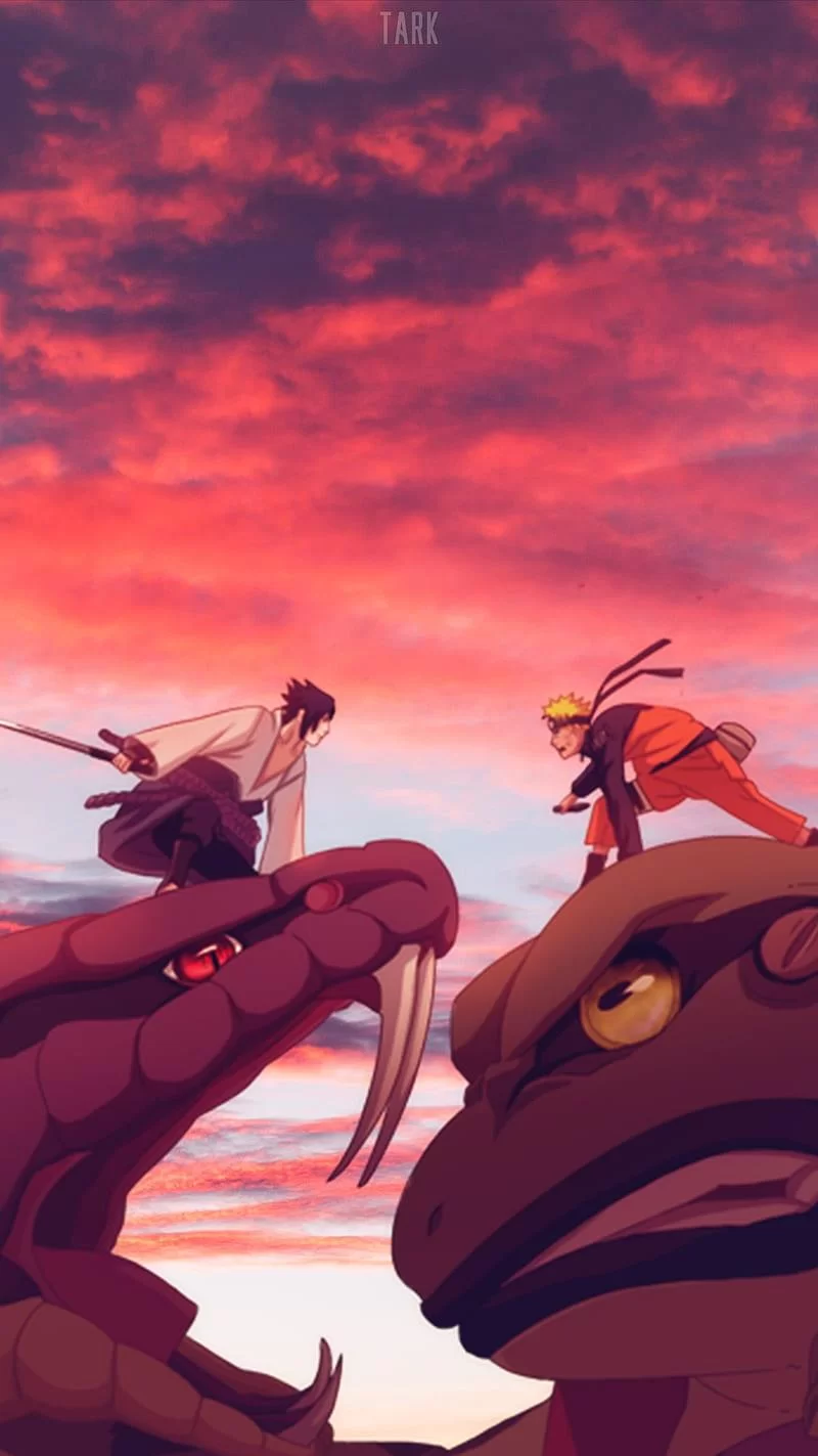 Free Download Final Valley Naruto And Sasuke Art Wallpaper Page 230335 (800 x 1423)