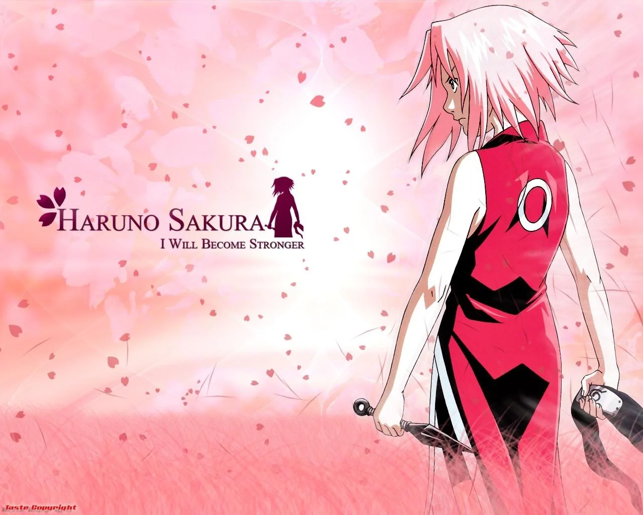 Free Download Sakura Wallpaper Naruto Shippuden Page 2581 (1280 x 1024)