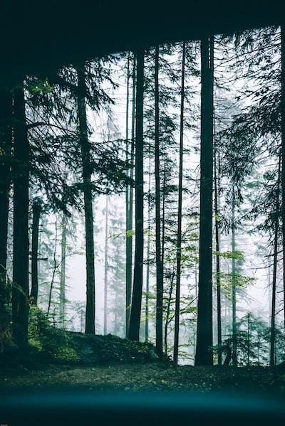 Free Download Gambar Wallpaper Page 267128 (400 x 599)