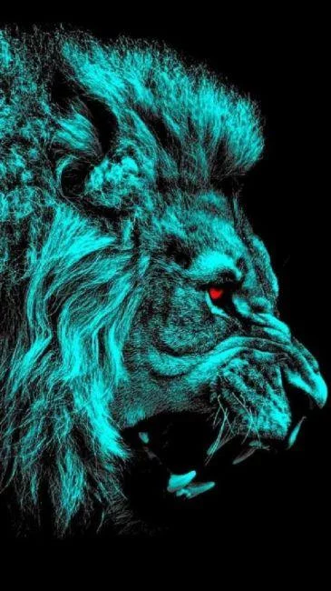 Free Download Gambar Wallpaper Page 267135 (365 x 650)