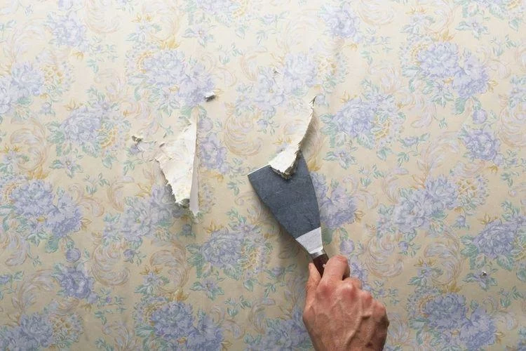 Free Download Gambar Wallpaper Page 267180 (750 x 500)