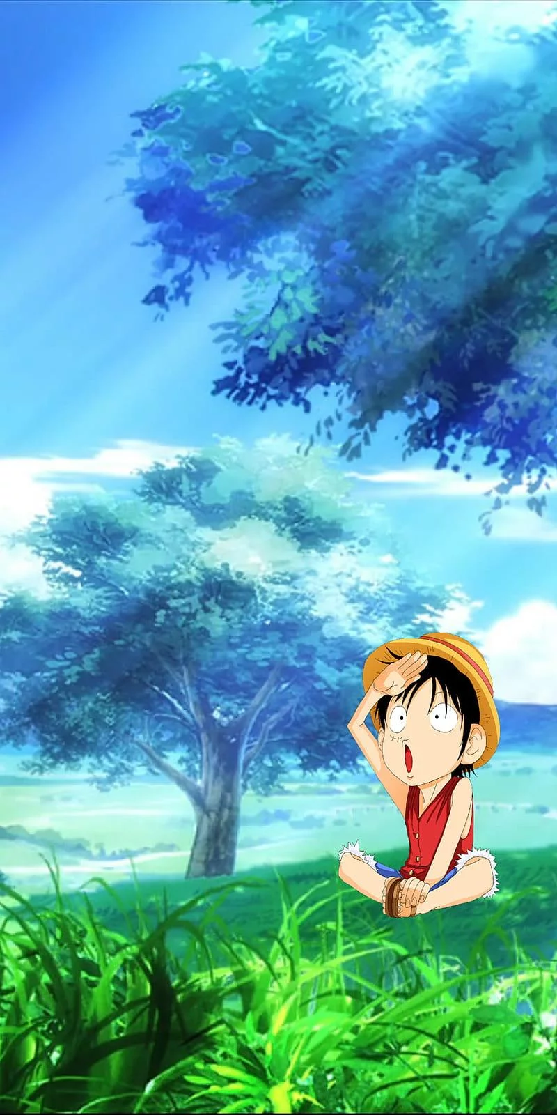 Free Download Naruto And Luffy Wallpaper Page 29858 (800 x 1600)