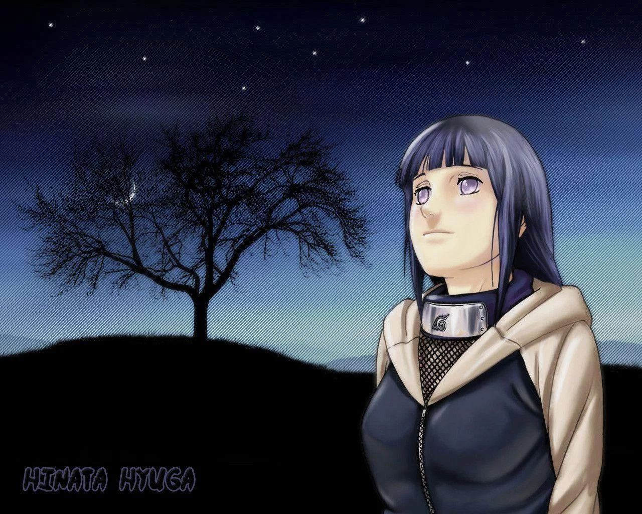 Free Download Naruto Shippuden Hinata Wallpaper Hd Page 301135 (1280 x 1024)