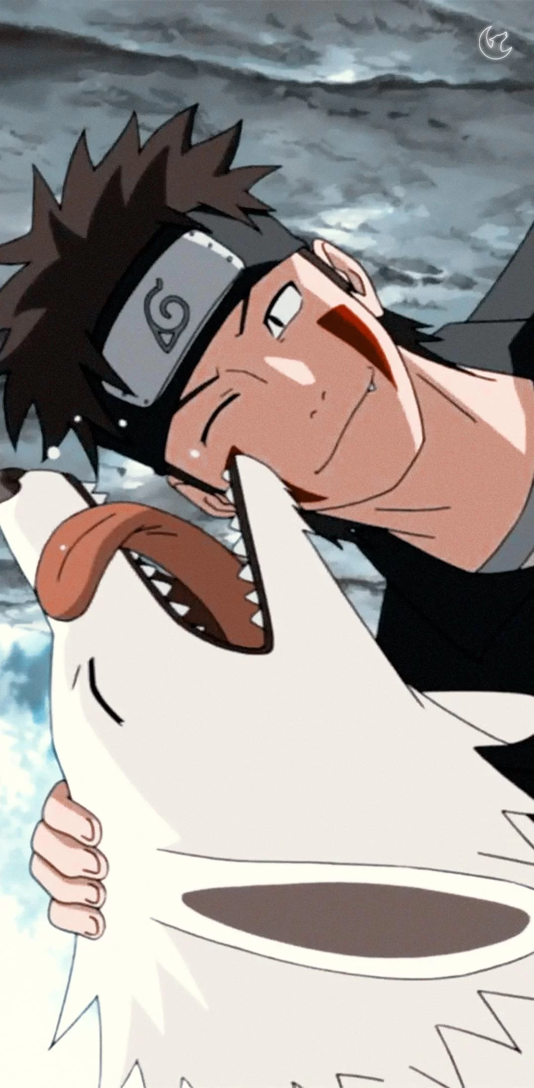 Free Download Kiba Naruto Shippuden Wallpaper Page 329083 (1080 x 2200)
