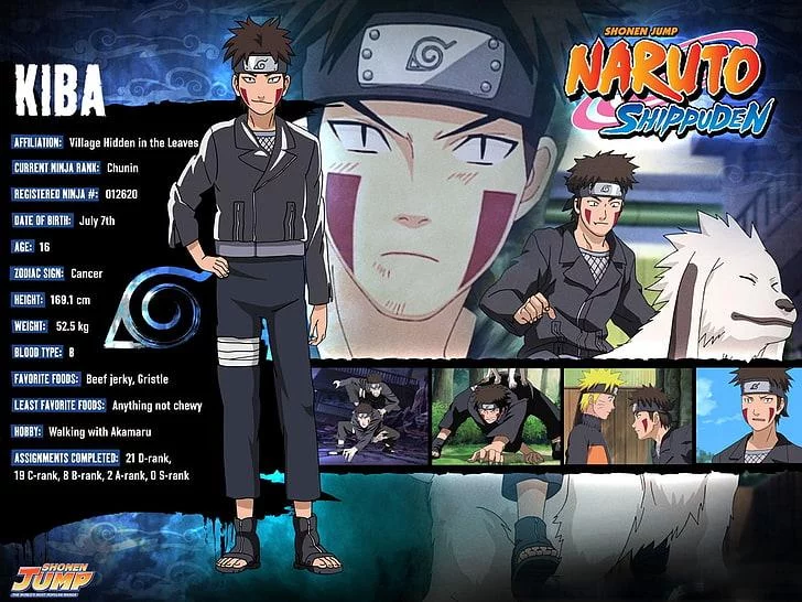 Free Download Naruto Shippuden Hinata Kiba Wallpaper Page 329098 (728 x 546)