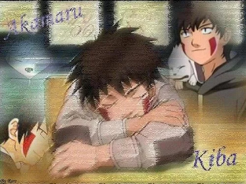 Free Download Kiba Naruto Shippuden Wallpaper Page 329123 (500 x 375)