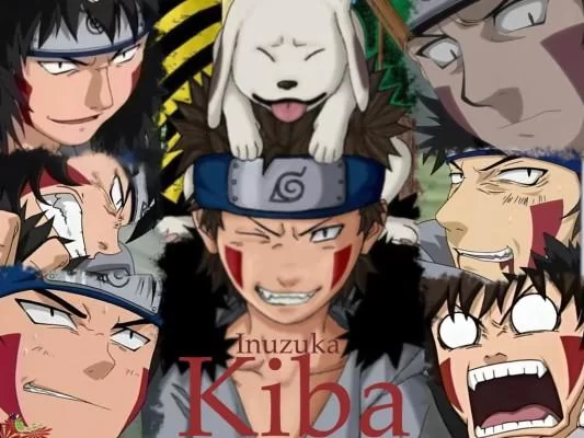 Free Download Kiba Naruto Shippuden Wallpaper Page 329145 (533 x 400)