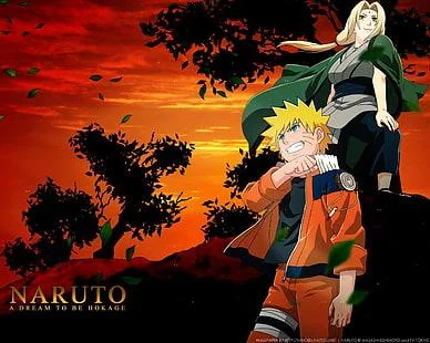 Free Download Naruto Shippuden Tsunade Wallpapers Page 41852 (388 x 310)