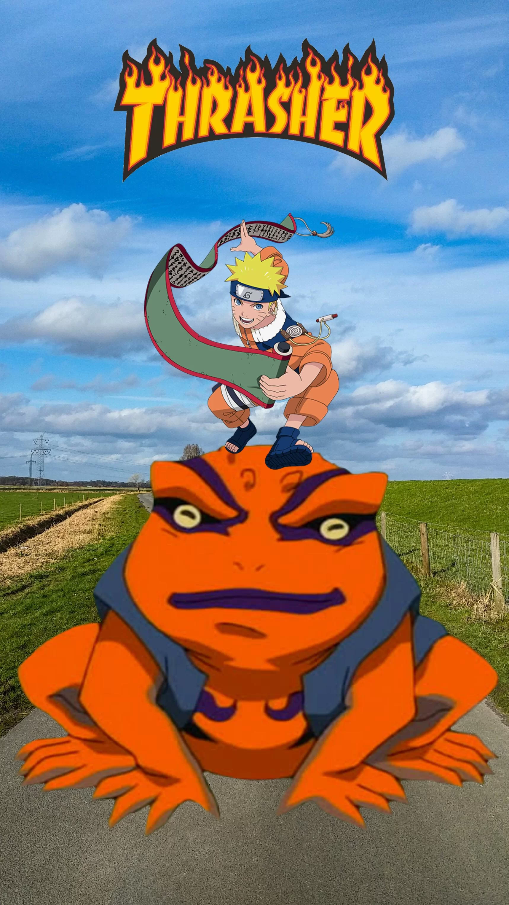 Free Download Naruto And Gamakichi Wallpaper Page 436580 (1717 x 3052)