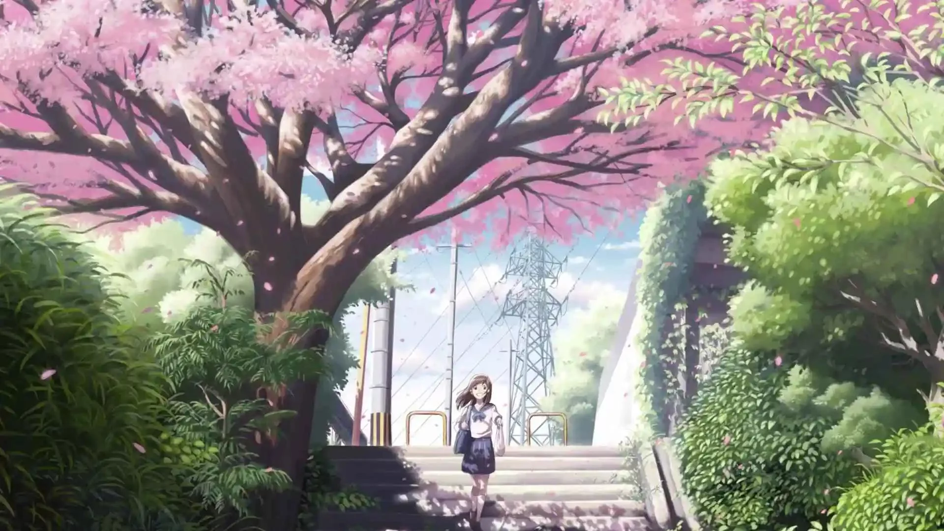 Free Download Naruto And Sakura Live Wallpaper Page 458981 (1920 x 1080)