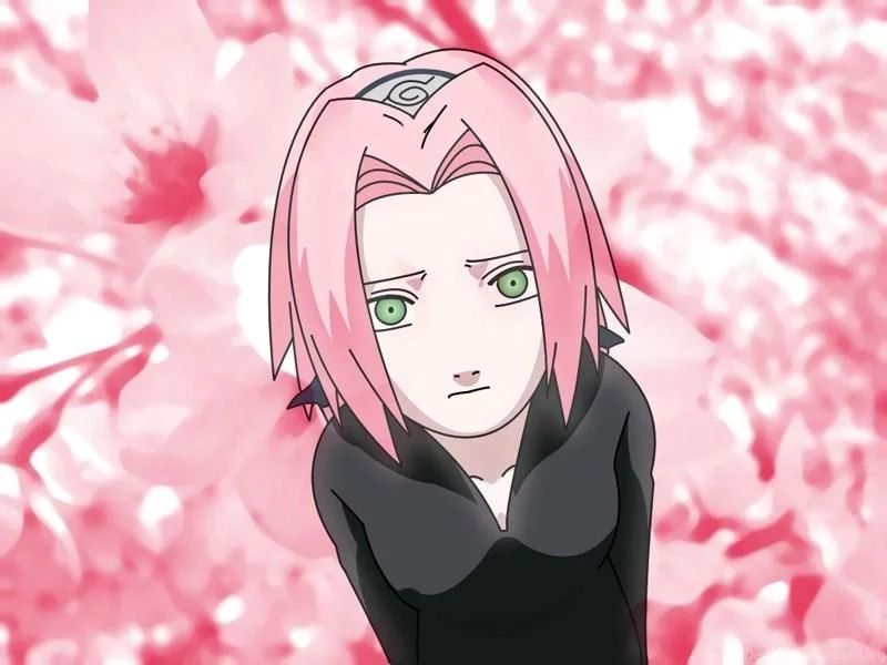 Free Download Naruto And Sakura Wallpaper Hd Page 459017 (800 x 600)
