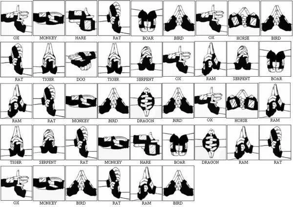 Free Download Naruto And Sasuke Hand Sign Wallpaper Page 465997 (600 x 424)