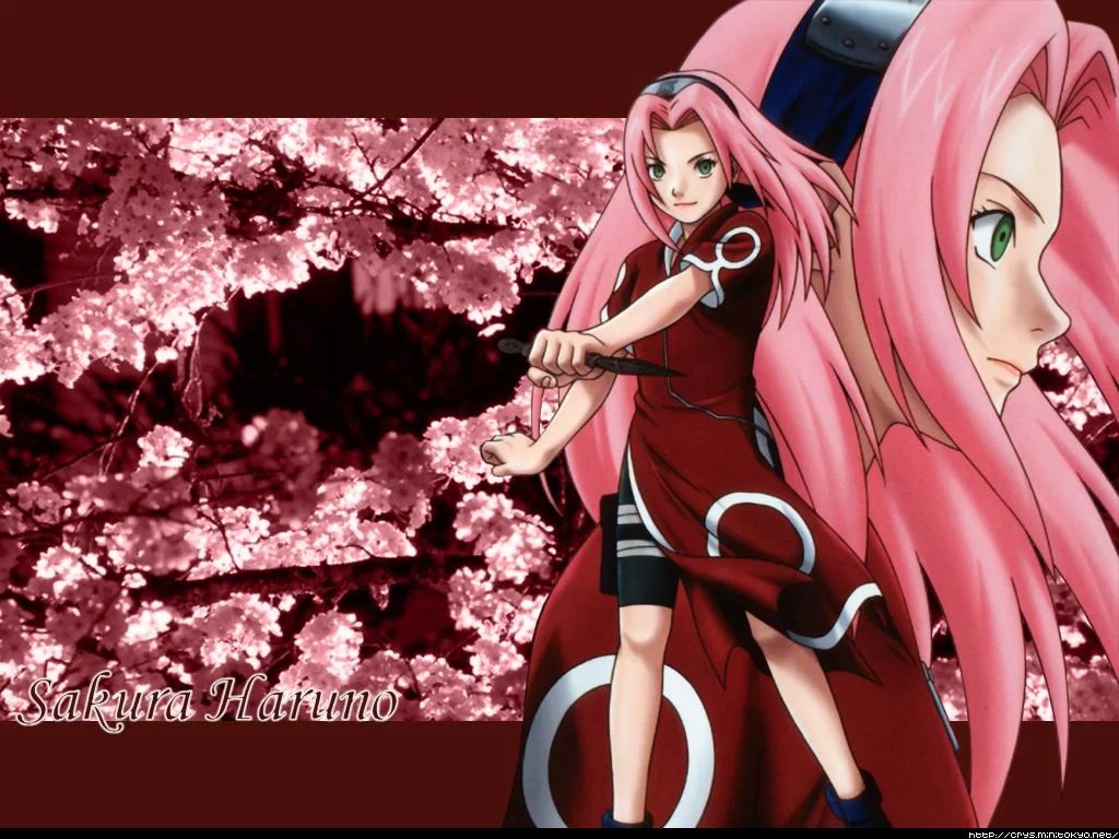 Free Download Naruto Dan Sakura Wallpaper Page 4961 (1024 x 768)