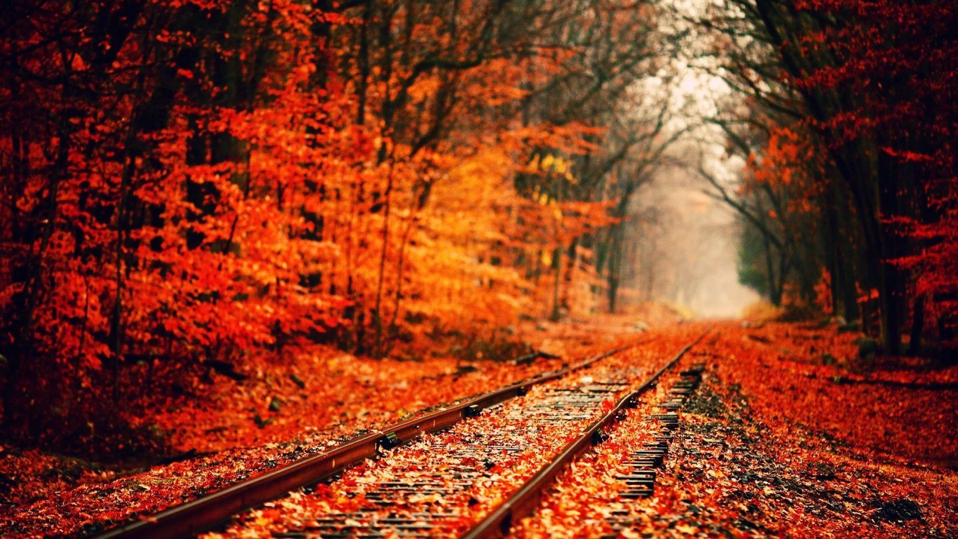 Free Download Naruto Autumn Aesthetic Wallpaper Page 500786 (1920 x 1080)