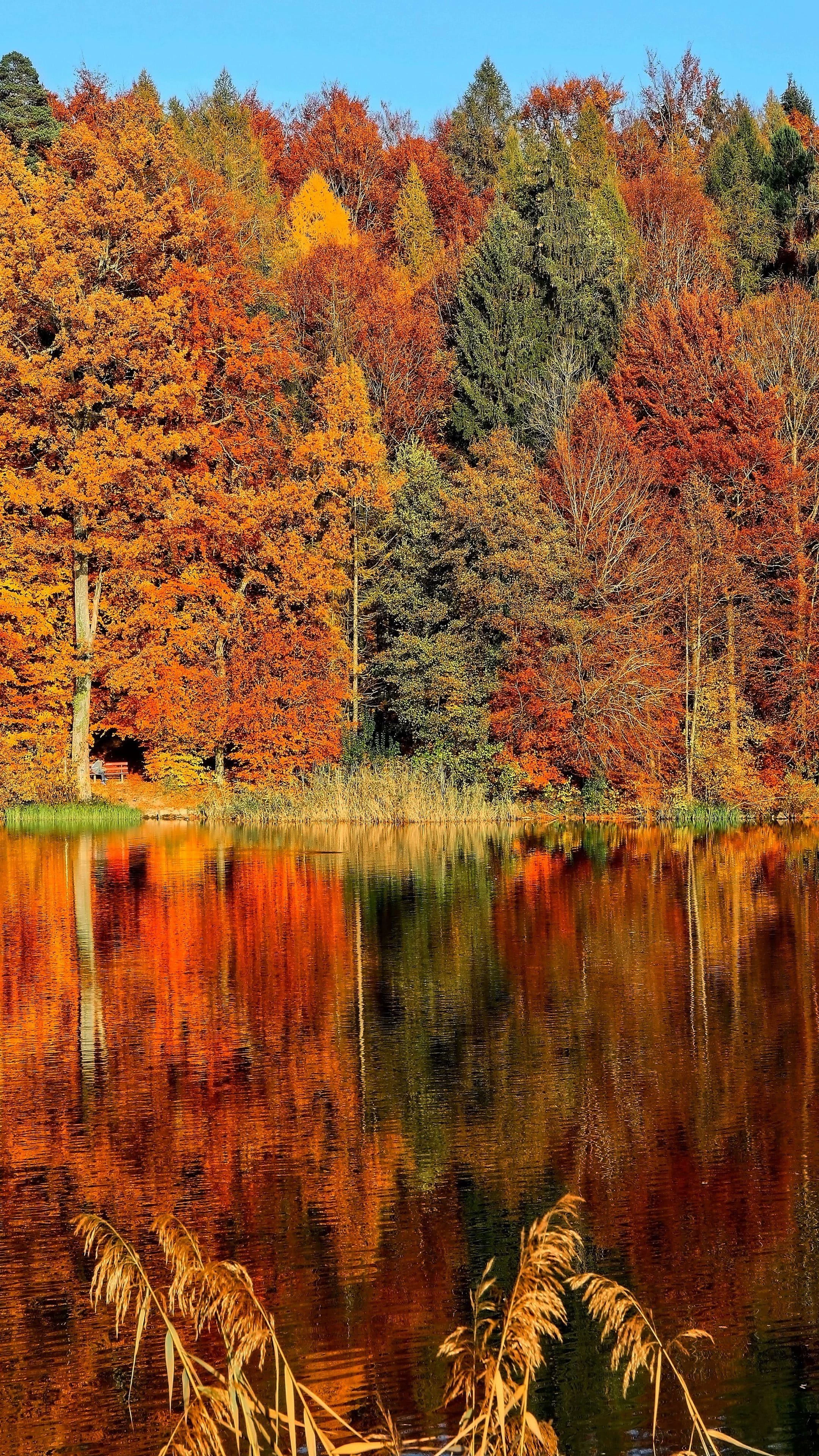 Free Download Naruto Autumn Aesthetic Wallpaper Page 500789 (2160 x 3840)