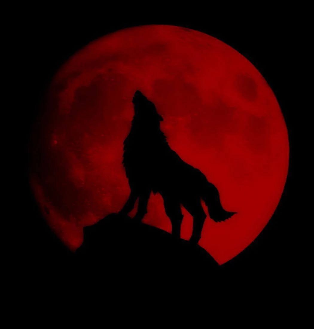 Free Download Naruto Blood Moon Iphone Wallpaper Page 508850 (1050 x 1100)