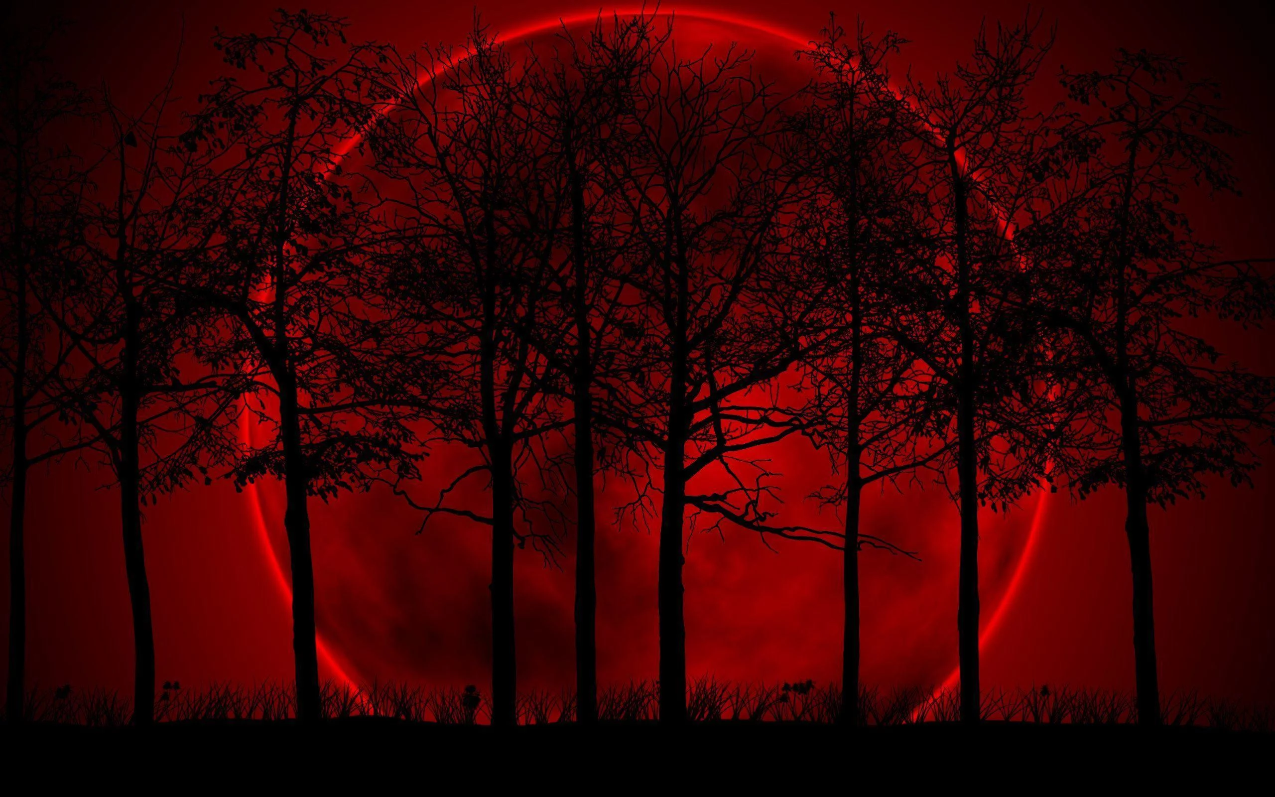 Free Download Naruto Blood Moon Phone Wallpaper Page 508882 (2560 x 1600)