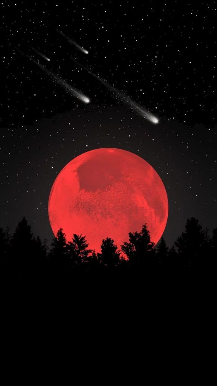 Free Download Naruto Blood Moon Phone Wallpaper Page 508891 (700 x 1244)