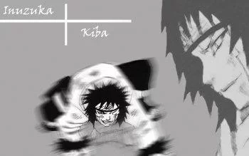 Free Download Naruto Dark Wallpaper Kiba Page 536024 (350 x 219)