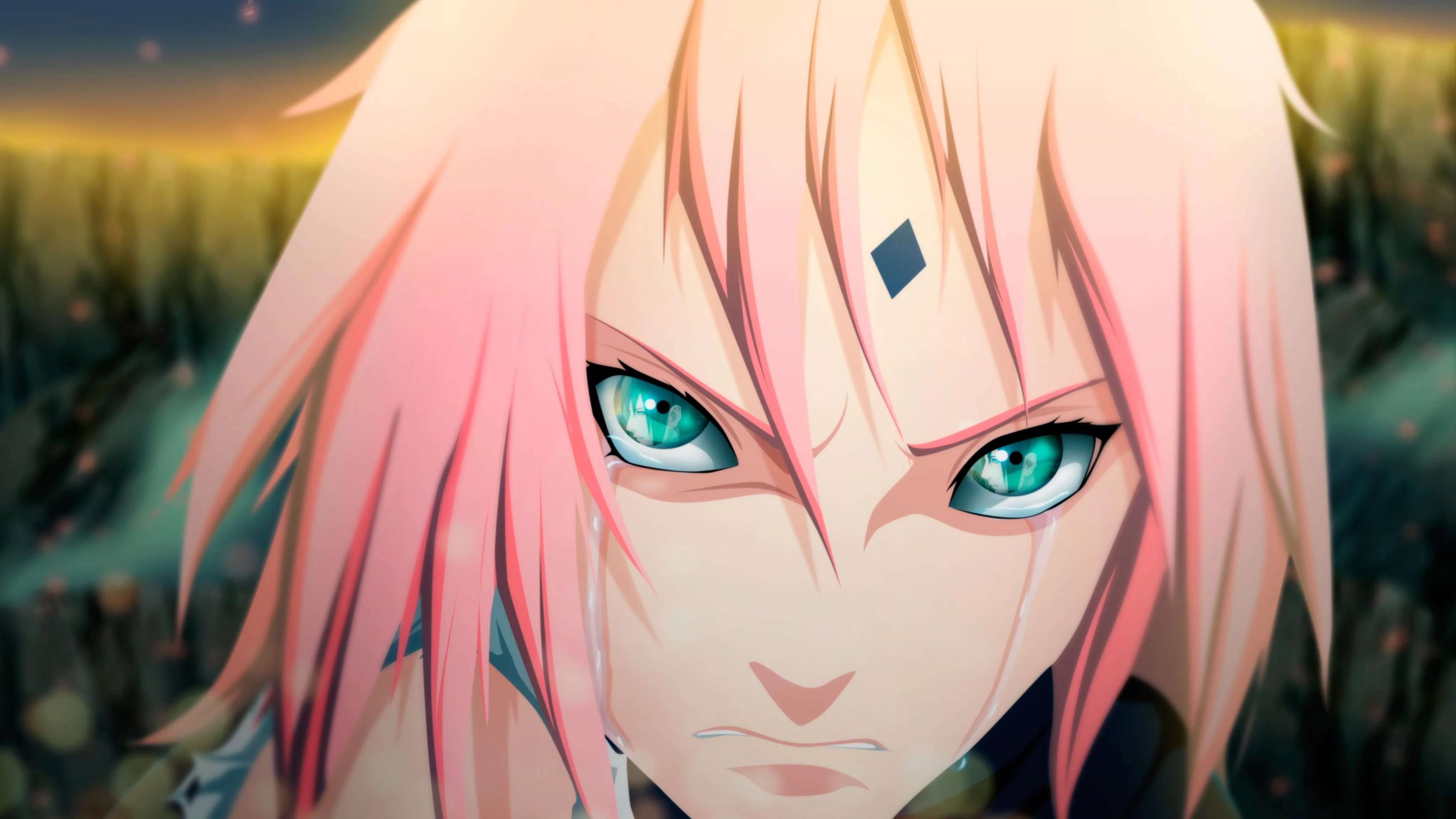 Free Download Sakura Naruto Wallpaper Hd Page 53947 (4096 x 2304)