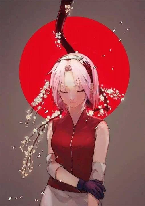 Free Download Sakura Naruto Wallpaper Hd Page 53958 (509 x 720)