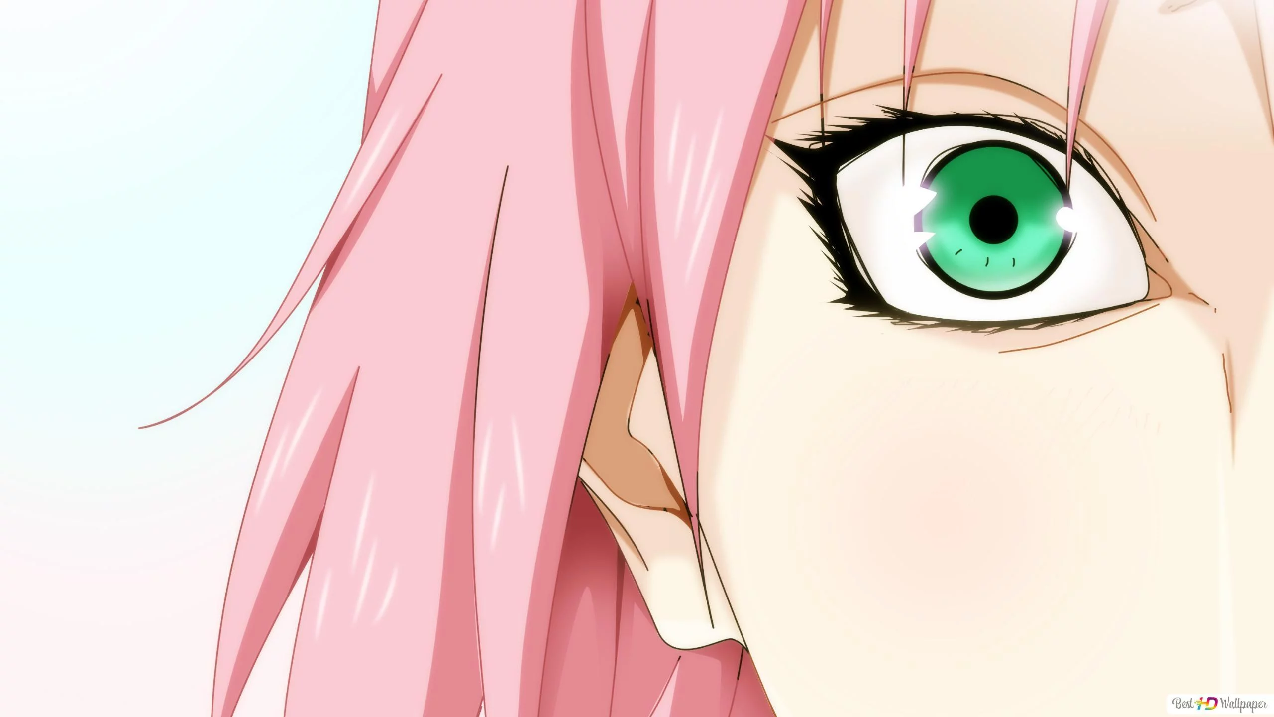 Free Download Sakura Naruto Wallpaper Hd Page 53969 (2560 x 1440)
