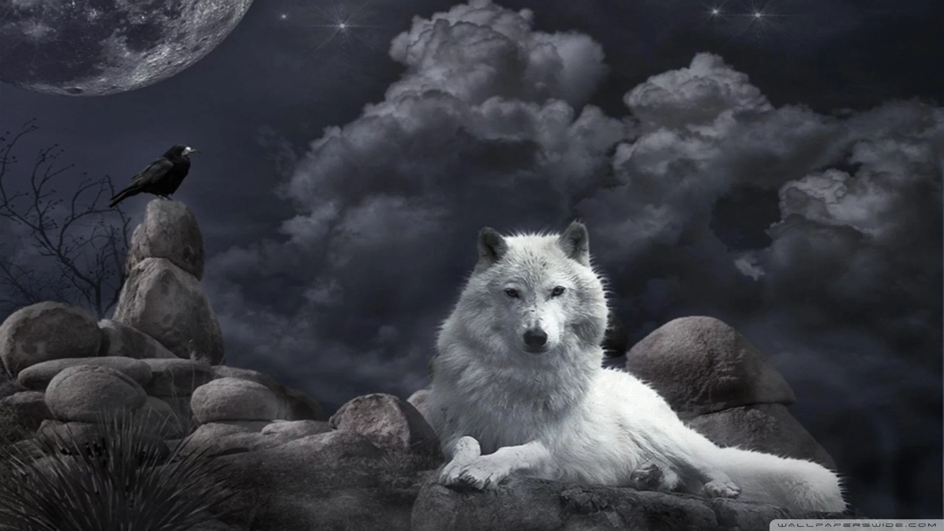 Free Download Naruto Fang Wolf Wallpaper Page 553155 (1920 x 1080)