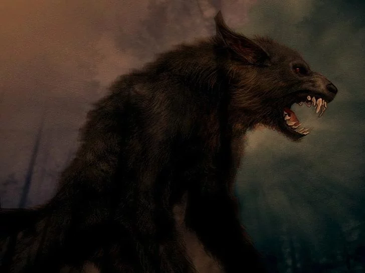 Free Download Naruto Fang Wolf Wallpaper Page 553163 (728 x 546)