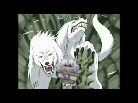 Free Download Naruto Fang Wolf Wallpaper Page 553188 (480 x 360)