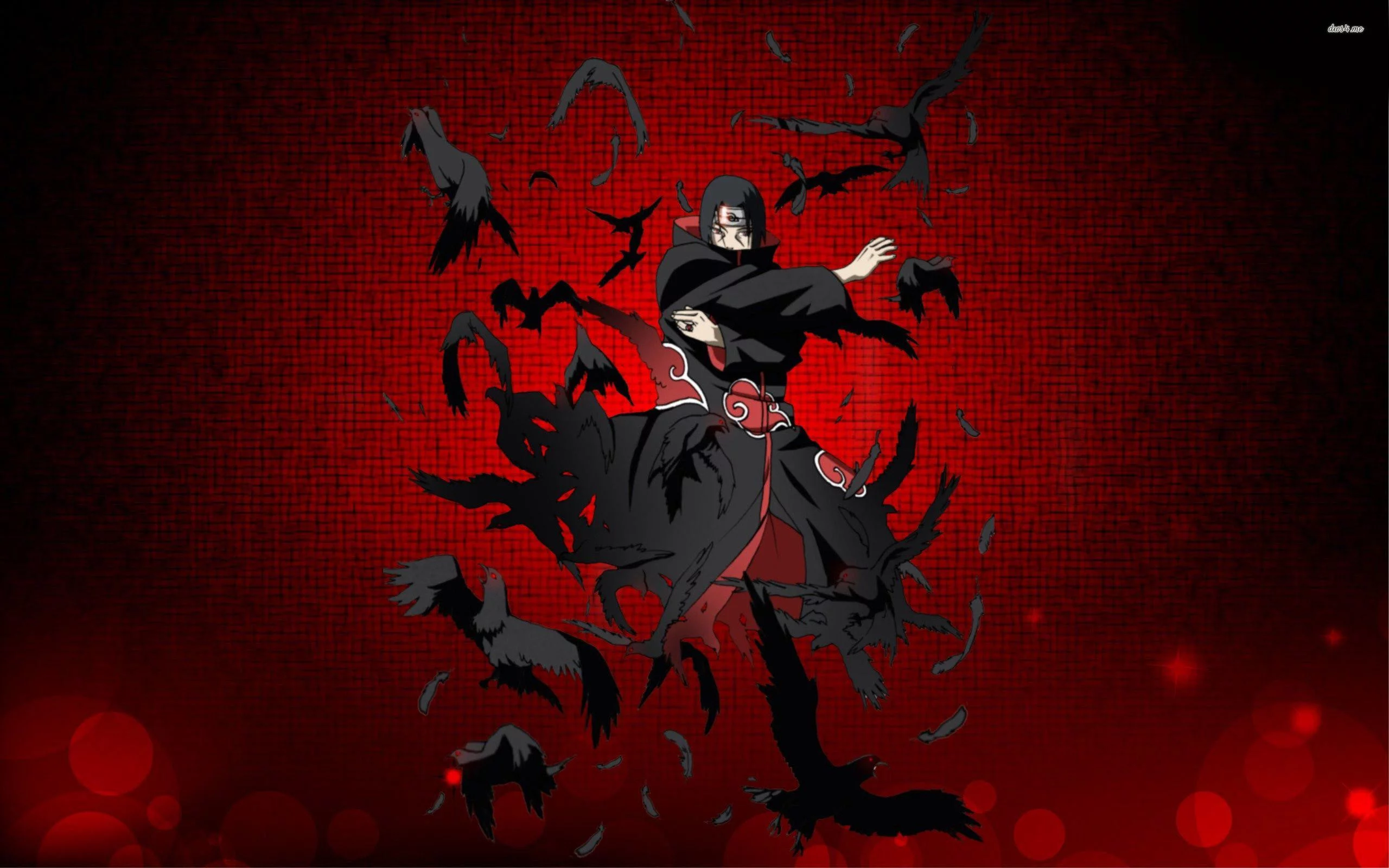 Free Download Naruto Guy Sensei Wallpaper 1920 X 1080 Page 572237 (2560 x 1600)