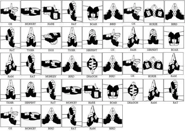 Free Download Naruto Hand Signs Wallpaper Engine Page 572395 (600 x 424)