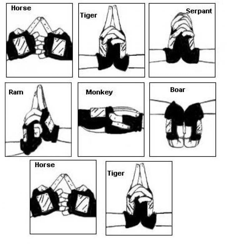 Free Download Naruto Hand Signs Wallpaper Engine Page 572405 (728 x 784)