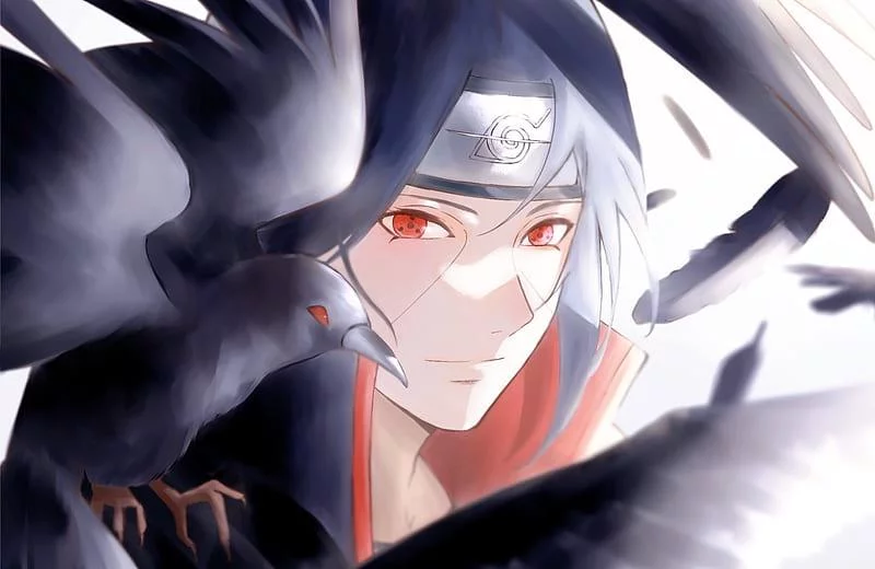 Free Download Naruto Hd Wallpaper Itachi Page 580934 (800 x 520)