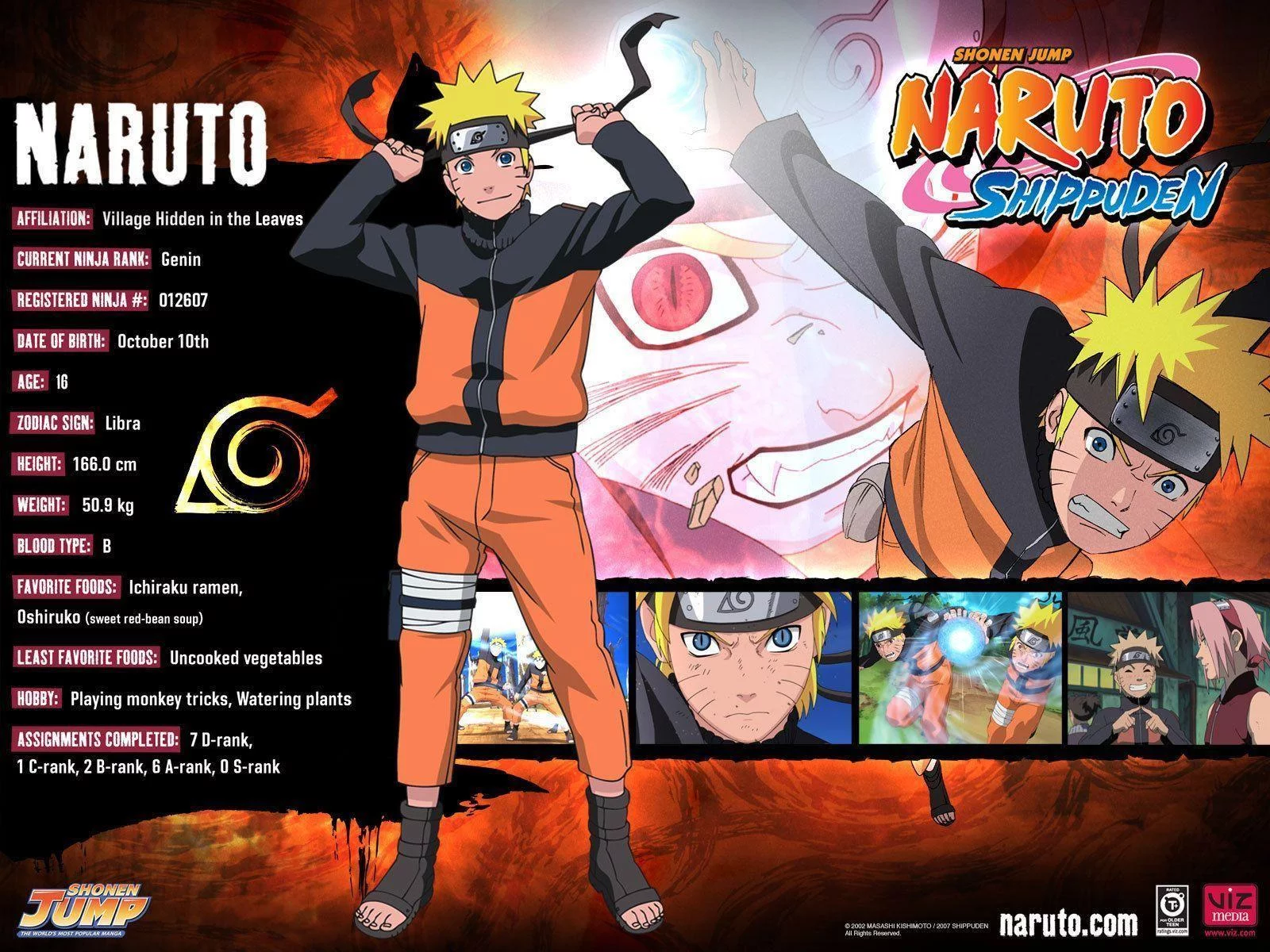 Free Download Naruto Hinata Shippuden Wallpaper Terbaru 2015 Page 596313 (1600 x 1200)