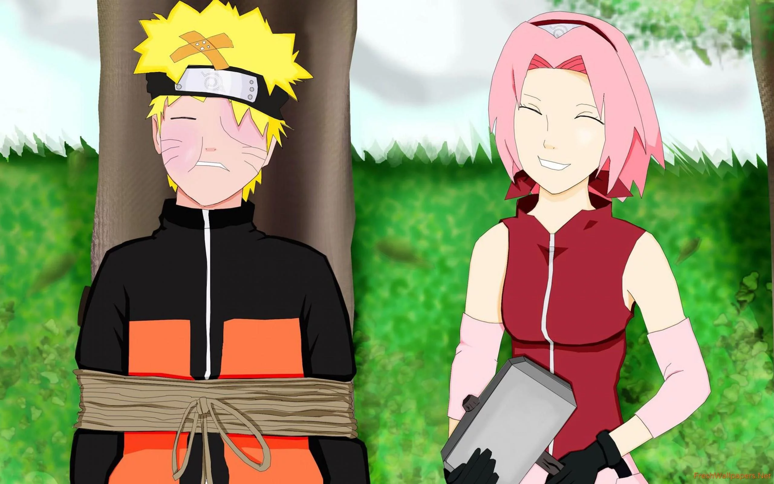 Free Download Wallpaper Naruto X Sakura Page 60247 (2560 x 1600)