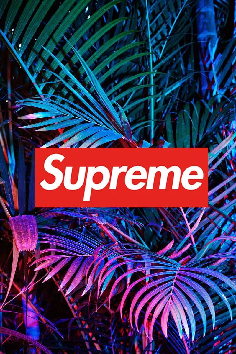 Free Download Naruto Hypebeast Wallpaper 1980 By 1080 Page 630992 (800 x 1200)