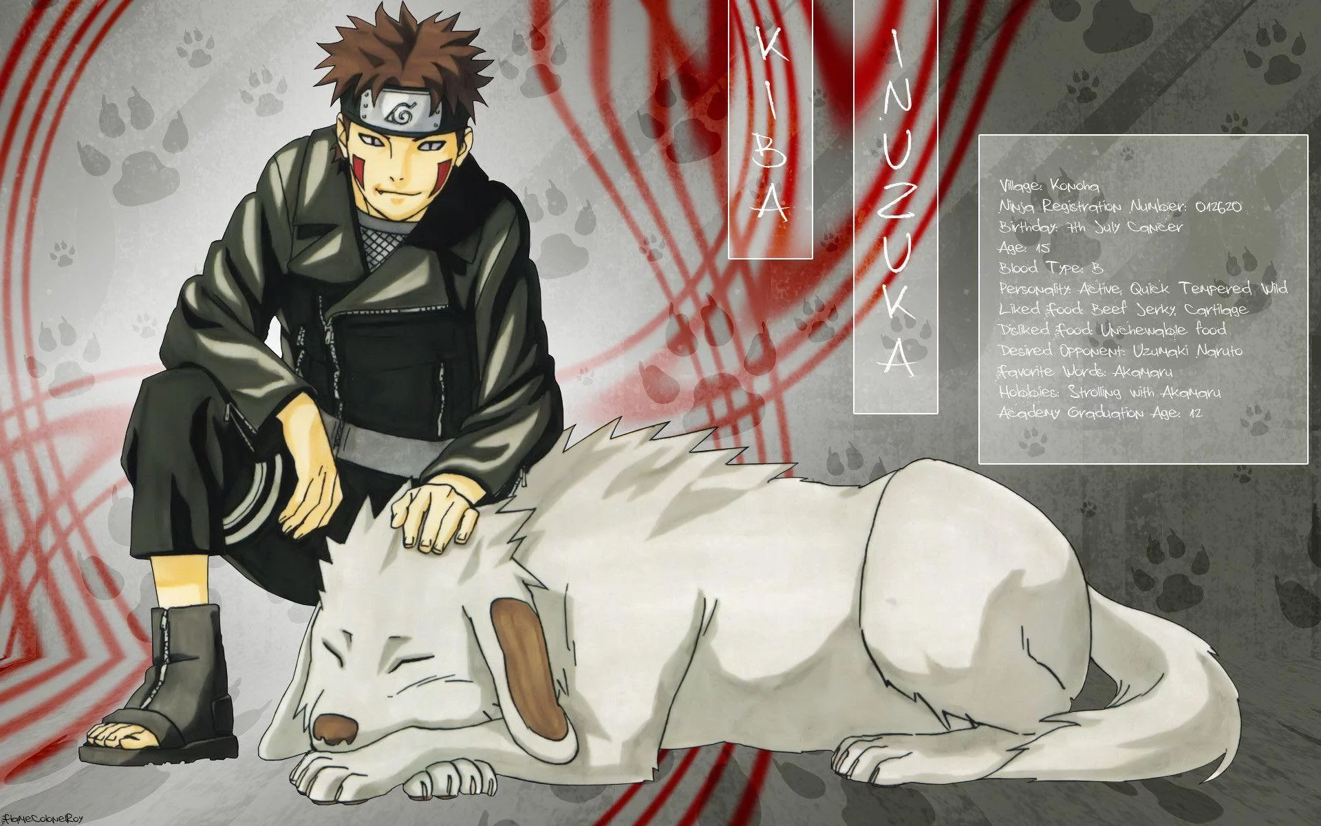 Free Download Naruto Kiba And Akamaru Wallpaper Page 638418 (1920 x 1200)